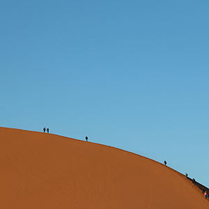 WHICH ONE IS YOUR PATH?